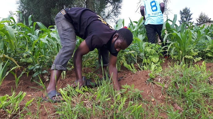 Abaturage bavuga ko ibiti bihenze ku buryo atari buri wese wakigondera