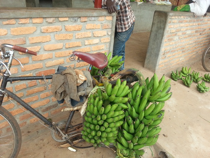 Ibitoki bizanwa kugurishwa ngo biba atari byiza ari ibisigarira byo kumodoka ibijyana Kigali.babizana ku magari.