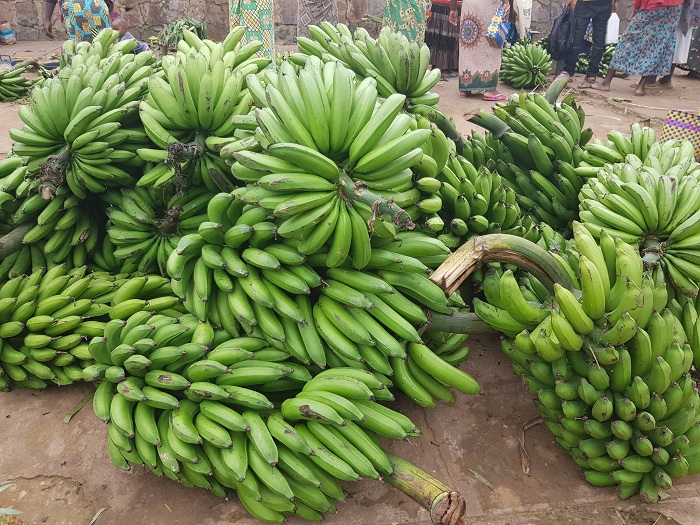 Ibitoki na byo bireze