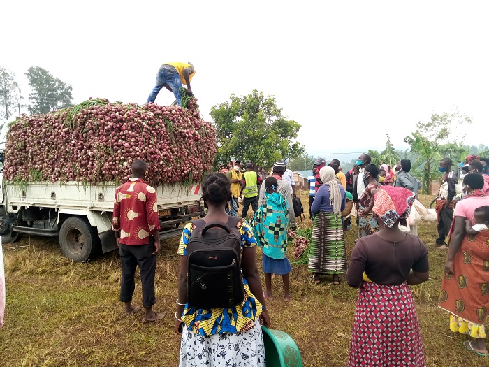 Ibitunguru bisigaye birangurizwa mu kibuga cyo ku nzu mberabyombi y'Akarere ka Huye