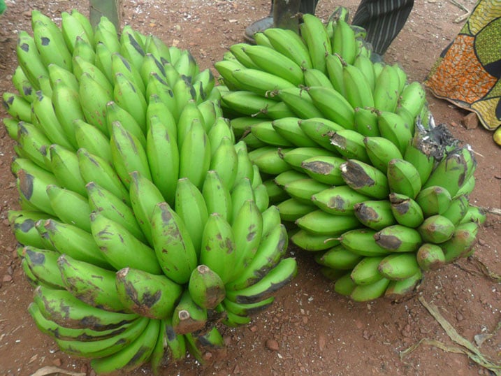Ibi bitoki byaguzwe amafaranga ibihumbi umunani.