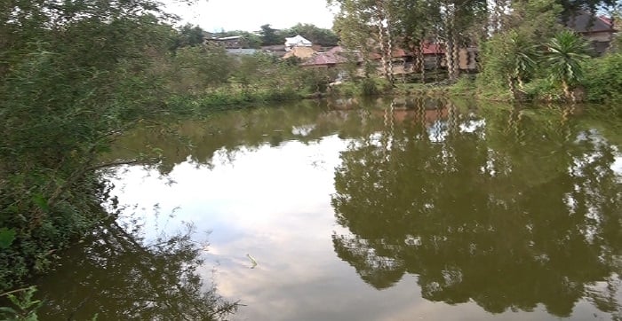 Igishanga kirimo ibyuzi by