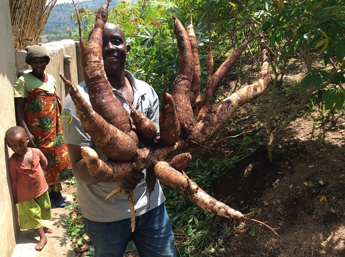 Kanani avuga ko ageze ku musaruro w'ibilo 30 ku giti kimwe cy'umwumbati