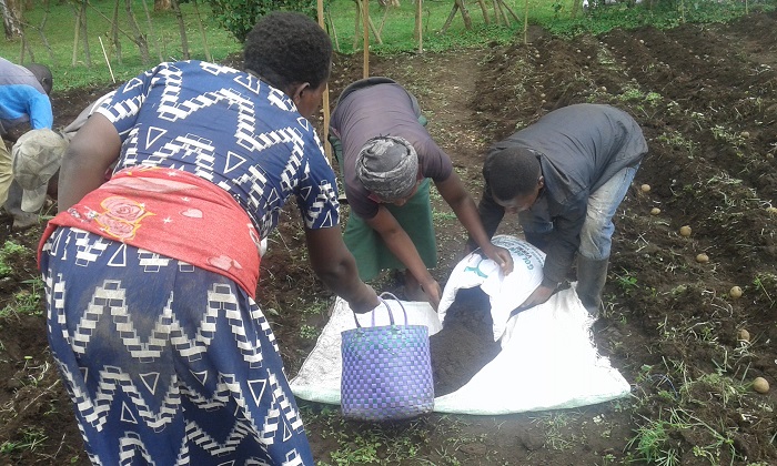 Ikilo kimwe kigura amafaranga 300 y'u Rwanda. Abaturage bavuga ko n'ubwo iyo fumbire ihenze biteguye kuyikoresha