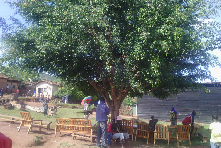 Igiti cyitiriwe amahoro kiri mu murenge wa Gishamvu kihafite amateka akomeye.