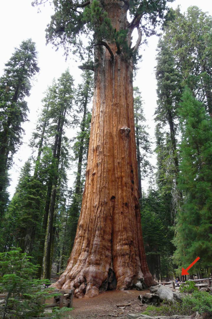 Uburyo umuntu aba angana ari iruhande rwa General Sherman