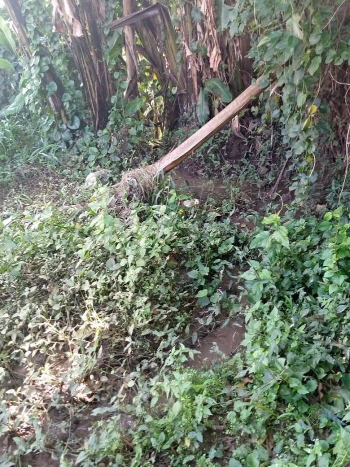 Aya mazi yiroha mu mirima y'abaturage ku buryo hari n'abahitamo kutayihinga kuko ntacyo basarura