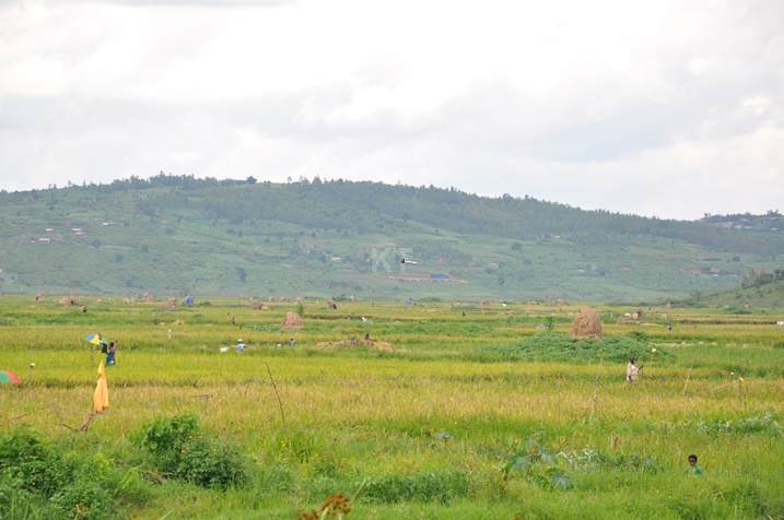 Iki gishanga cyari cyariswe "Singira Umukwe" none gisigaye ari "Mu Bukungu".