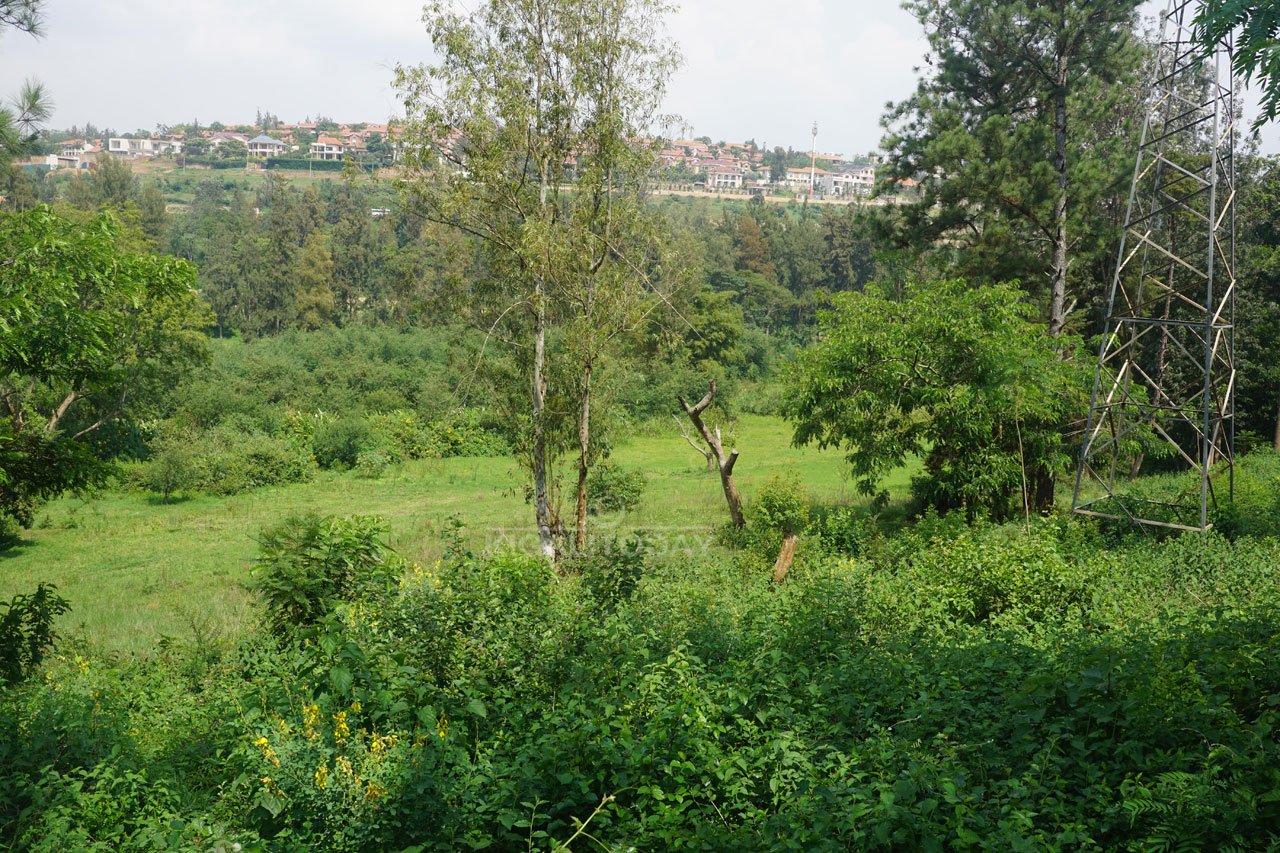 Iki gice kirmo ishyamba nicyo kizakorwamo imyobo (ibibuga) 9 bya Golf