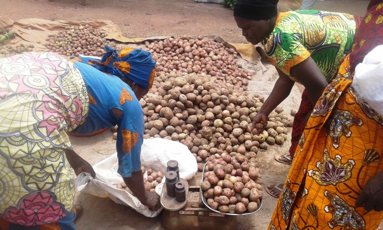 Ikiro cy'ibirayi kigeze kuri 400FRw bwa mbere mu mateka y'akarere ka Kirehe
