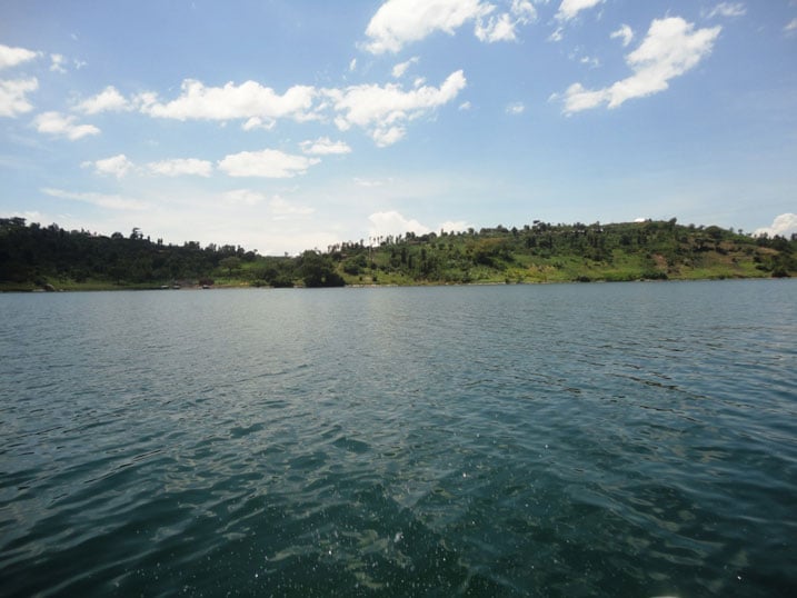 Ikirwa cya Bugarura gituwe n