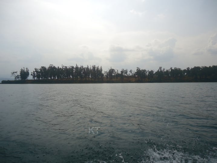 Ikirwa cya Gihaya