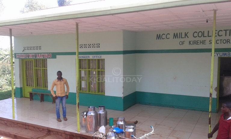 Ikusanyirizo ry'amata rya Kirehe ntirikibona amata ahagije kubera ikiza cy'isazi zibasiye inka
