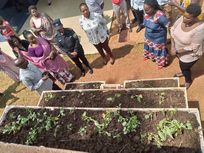 Abayobozi bareba akarima k'imboga ku biro by'Umurenge wa Gahanga