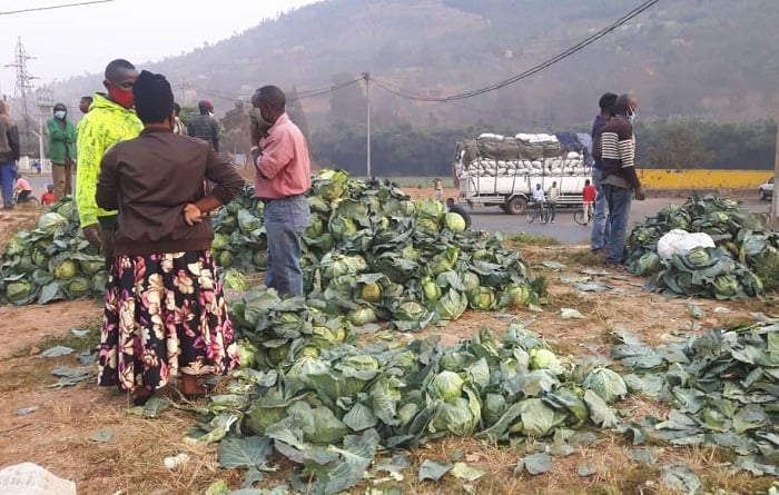 Abahinga imboga bavuga ko mu bibazo bafite harimo icyo kweza umusaruro mwinshi icyarimwe ntibawubonere isoko