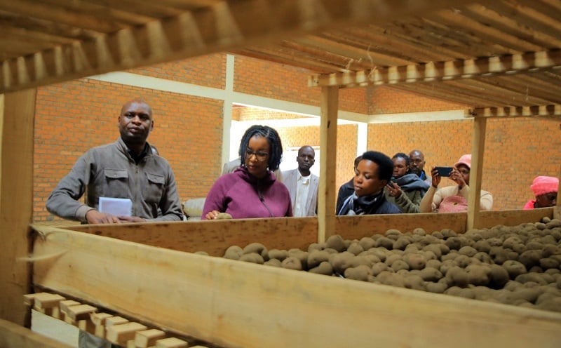 Abadepite basuye abahinzi b'ibirayi