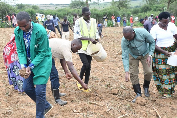 Aborozi bamenye akamaro ko guhinga ubwatsi bw'amatungo