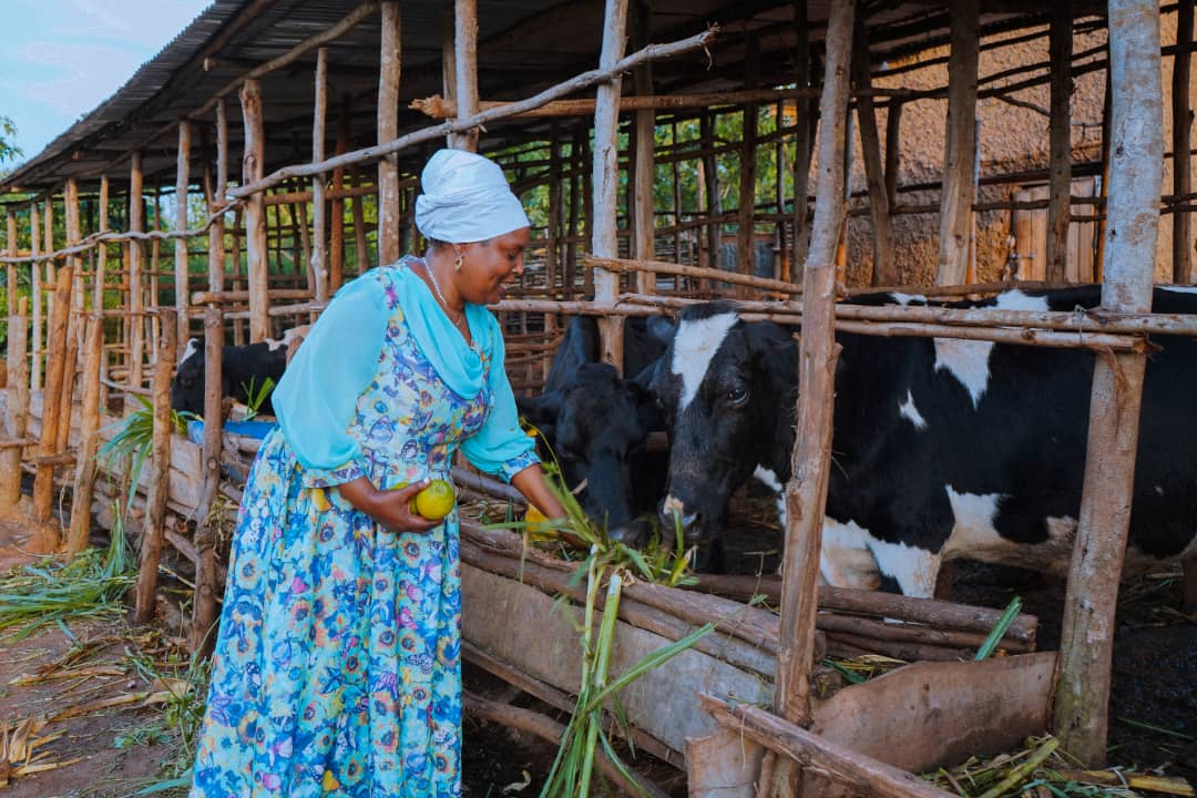 Umpfuyisoni ngo nta kibazo akigira cy'ubwatsi n'amazi y'inka ze