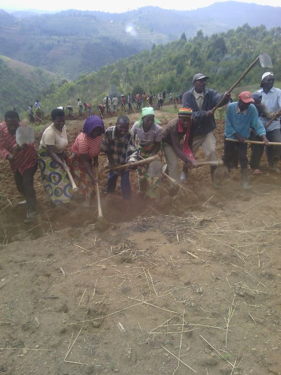Aha ho ni mu karere ka Nyaruguru, mu murenge wa Kivu, mu kagali ka Cyanyirankora, aho abaturage bateye imbuto z'ibigori bya Kijyambere bizwi nka Hybride 629.