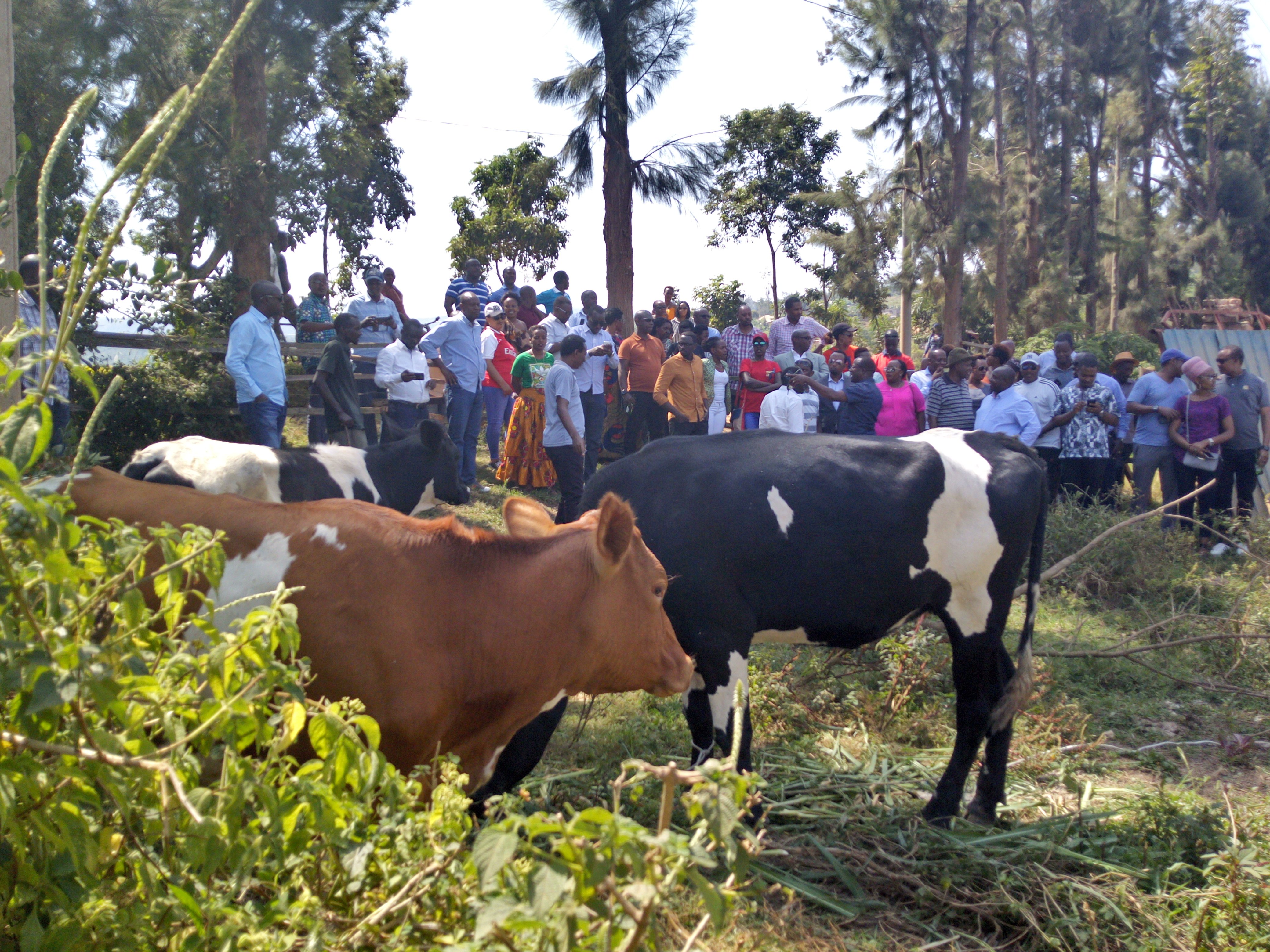 Inka Kwagarana Sport Club yageneye Abarokotse Jenoside yakorewe Abatutsi batishoboye