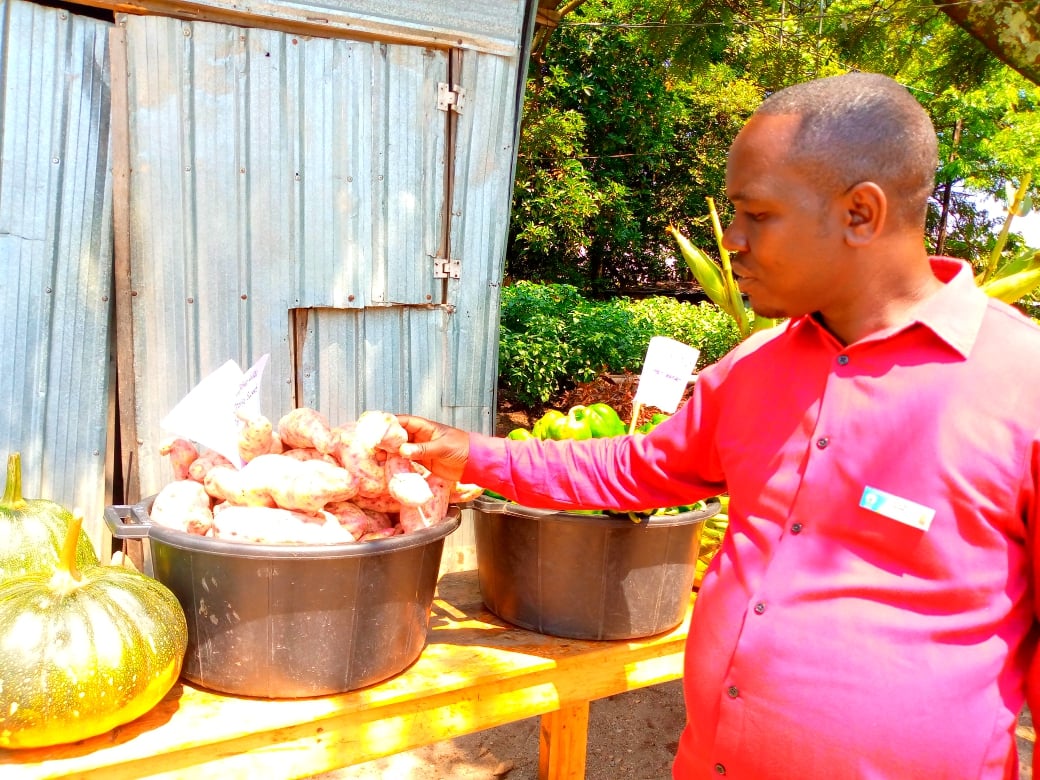 Ntashyeneza Théophile wigisha ubuhinzi Iwawa
