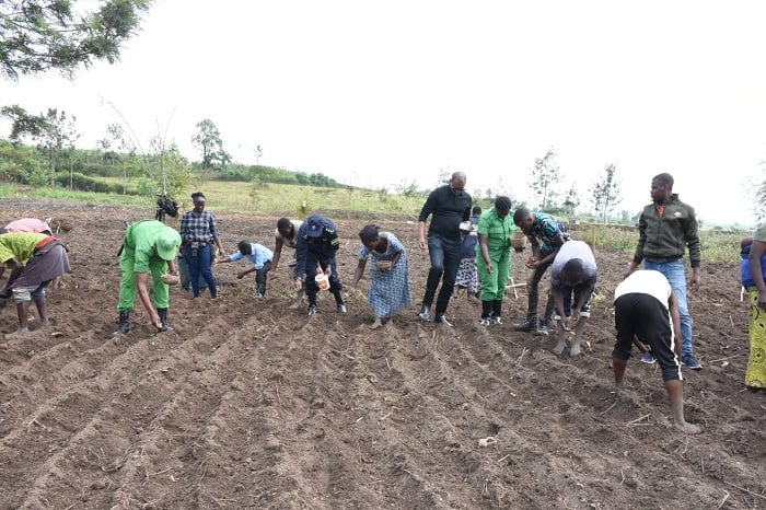 Bari ku musozo wo gutera imbuto