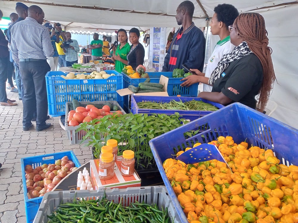 Abantu barigishwa uko bakora ubuhinzi mu ngo bugatanga umusaruro