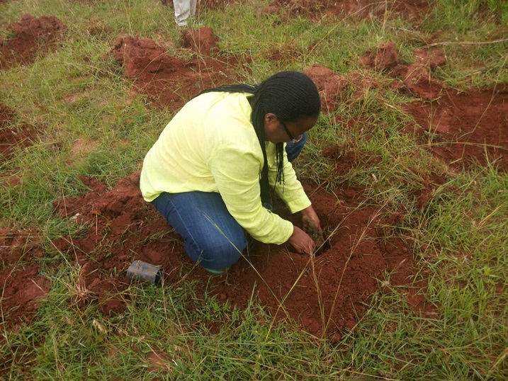 Minisitiri Mukeshimana atangiza igikorwa cyo gutera ibiti mu kagali ka Mushongi, mu murenge wa Mpanga.