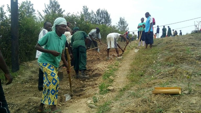 Mu murenge wa Runda mu kagali ka Ruyenzi bakoze umuganda wo kubaka umuyoboro w'amazi.