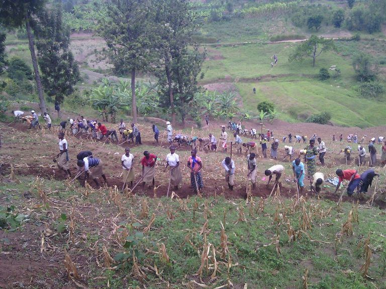 Mu murenge wa Gikonko karere ka Gisagara mu ntara y'Amajyepfo, hahinzwe Soya kuri hegitari eshatu zizifashishwa muri gahunda yo kugaburira abana ku ishuri. Iyo mirima ni iy'ishuri rya G.S Gasagara ryigwamo n'abana 252.