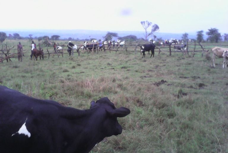 Urwo ni urwuri rwa AERG rufite hegitare 130.