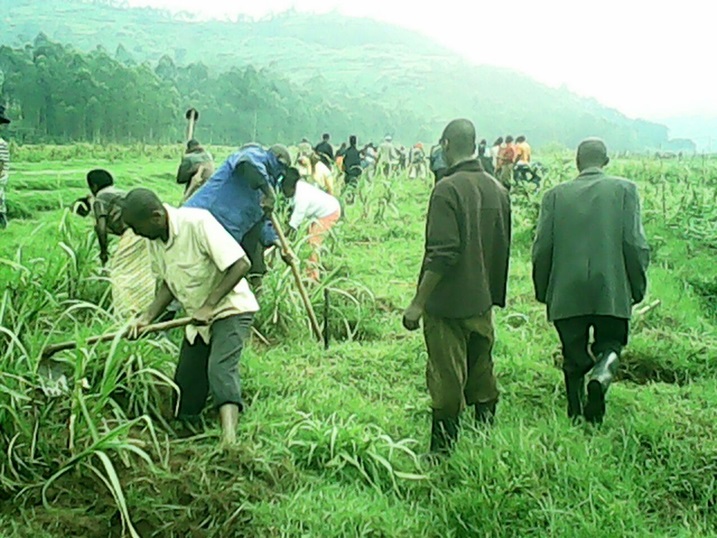 Mu karere ka Gakenke, umuganda wakorewe mu murenge wa Gashenyi, mu kagali ka Taba, mu mudugudu wa Busaro, aho abaturage bifatanyije n'ubuyobozi n'ingabo na Polisi mu muganda wo gukora mu nkengero z'umugezi wa Base.