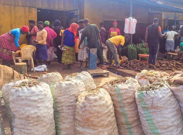 Ibiribwa muri Kagugu bigura make ugereranyije n
