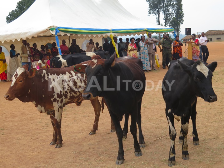 Inka zirindwi nizo ishyirahamwe Duhozanye rihuriyemo abapfakazi ba Jenoside yakorewe Abatutsi batanze.