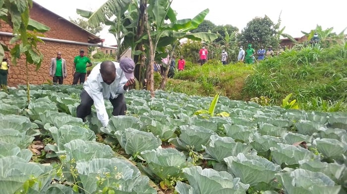 Abaturage bubakiwe ibigega mu Murenge wa Rubaya basigaye bahinga imboga bakuhiriza amazi yabyo