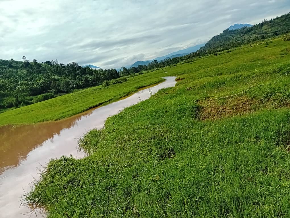 Amazi y'urugomero yatumye iyi mirima abaturage basabwa kureka kuyihinga