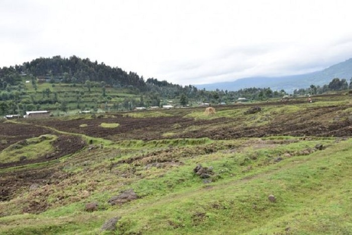 Imiryango 510 ituye mu gice kizagurirwamo Pariki y'igihugu y'Ibirunga yabariwe ingurane ingana na Miliyari zisaga 15 z'amafaranga y'u Rwanda