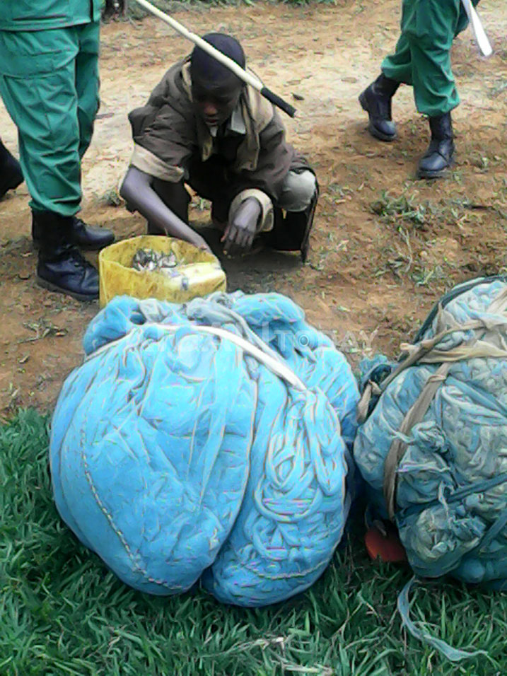 Imitego yafatanywe aba bagabo yiganjemo inzitiramubu.