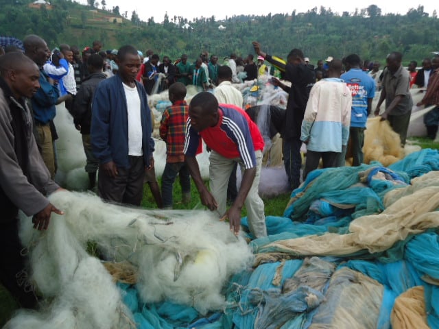 Imitego ya Kaningini ikunda gukoreshwa mu bushimusi bw'amafi.