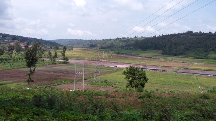 Imwe mu mirima abagororwa ba Gereza ya Karubanda bahingamo umuceri.