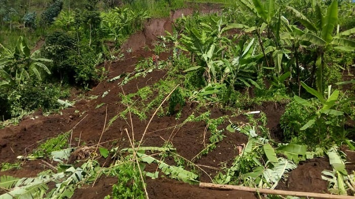 Imvura igwa nabi ikangiza imyaka iri mu bibangamiye abahinzi mu ntego bihaye zo kongera umusaruro