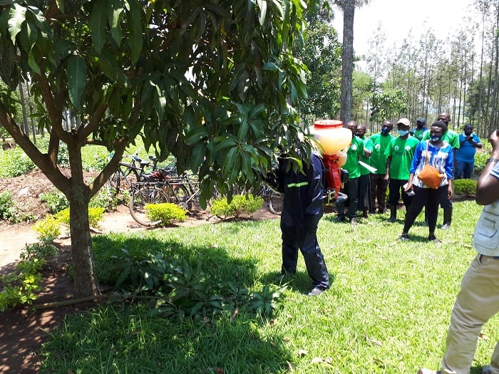 Bashishikarizwa gutera imiti yica utumatirizi kandi bayisimburanya