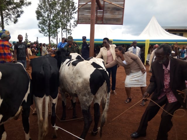 Ingabo z'u Rwanda zatanye inka ku miryango 15 itishoboye