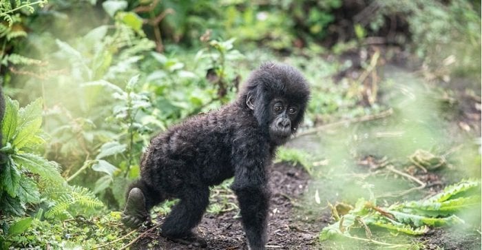 Abana 24 ni bo bagiye kwitwa amazina kuri uyu wa Gatanu