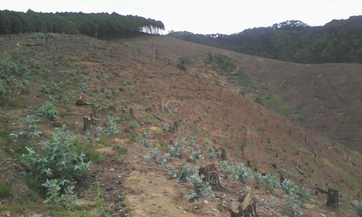 Uyu musozi ni wo abo baturage basazuragaho ishyamba.