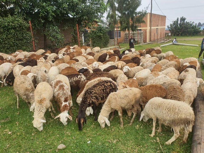 Ingo zibarirwa mu gihumbi, nizo zimaze kugerwaho n