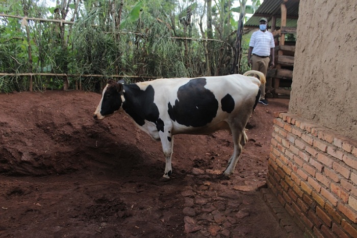 Inka yahawe ngo izamufasha muri byinshi