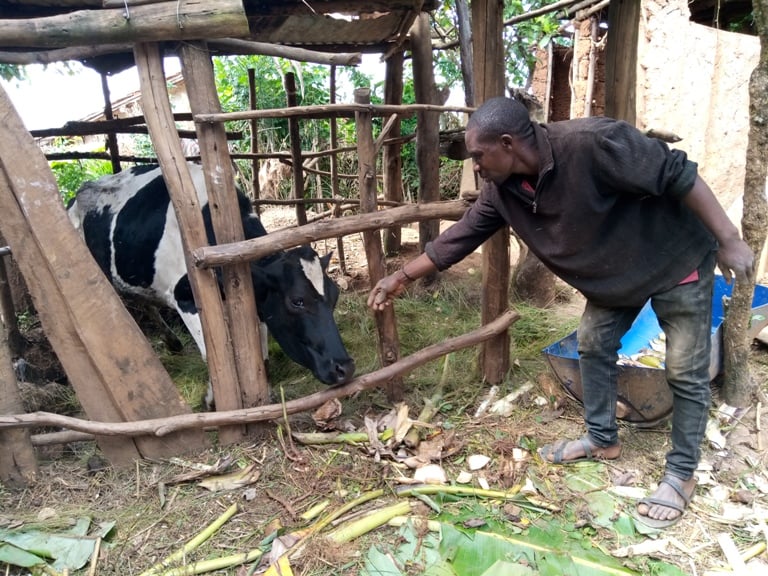 Inka yahawe imaze kumubyarira rimwe, ariko ngo yatumye ava mu bukene bukabije ku buryo ubu barya kabiri ku munsi mbere baryaga rimwe