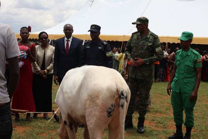 I Rwamagana bamwe mu basezeranye batishoboye borojwe inka