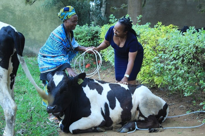 Buri muryango washyikirijwe inka wiyemeza kuyifata neza